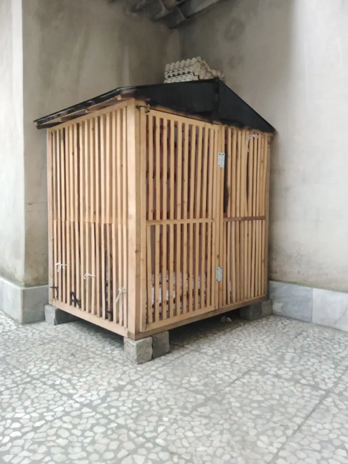 قفس چوبی|لوازم جانبی حیوانات|رشت, ساغری سازان|دیوار