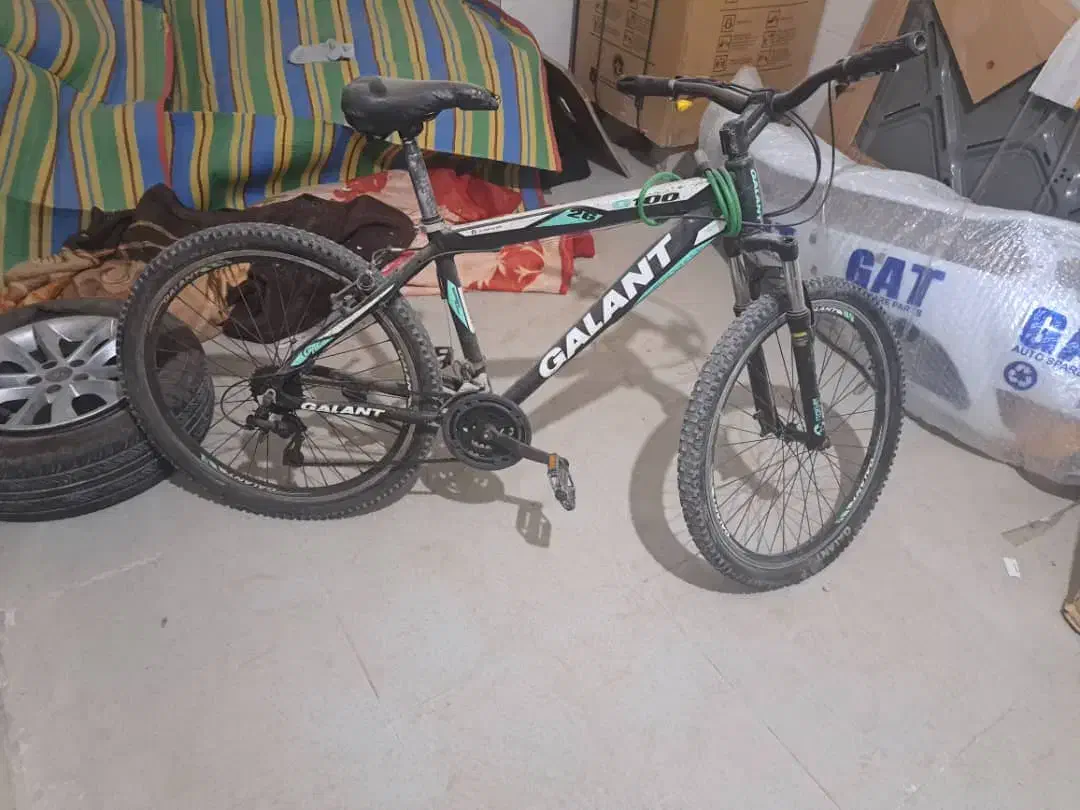 دوچرخه 26|دوچرخه، اسکیت، اسکوتر|چغادک, |دیوار