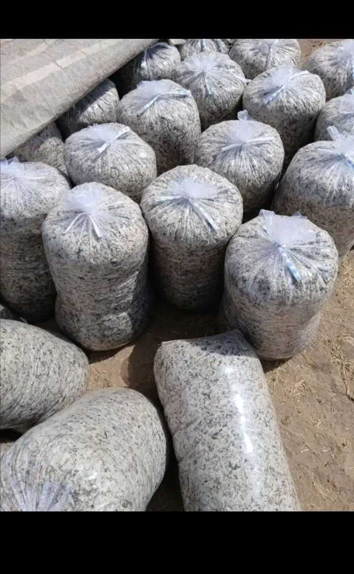 ذرت علوفه|لوازم جانبی حیوانات|دشتابی, |دیوار