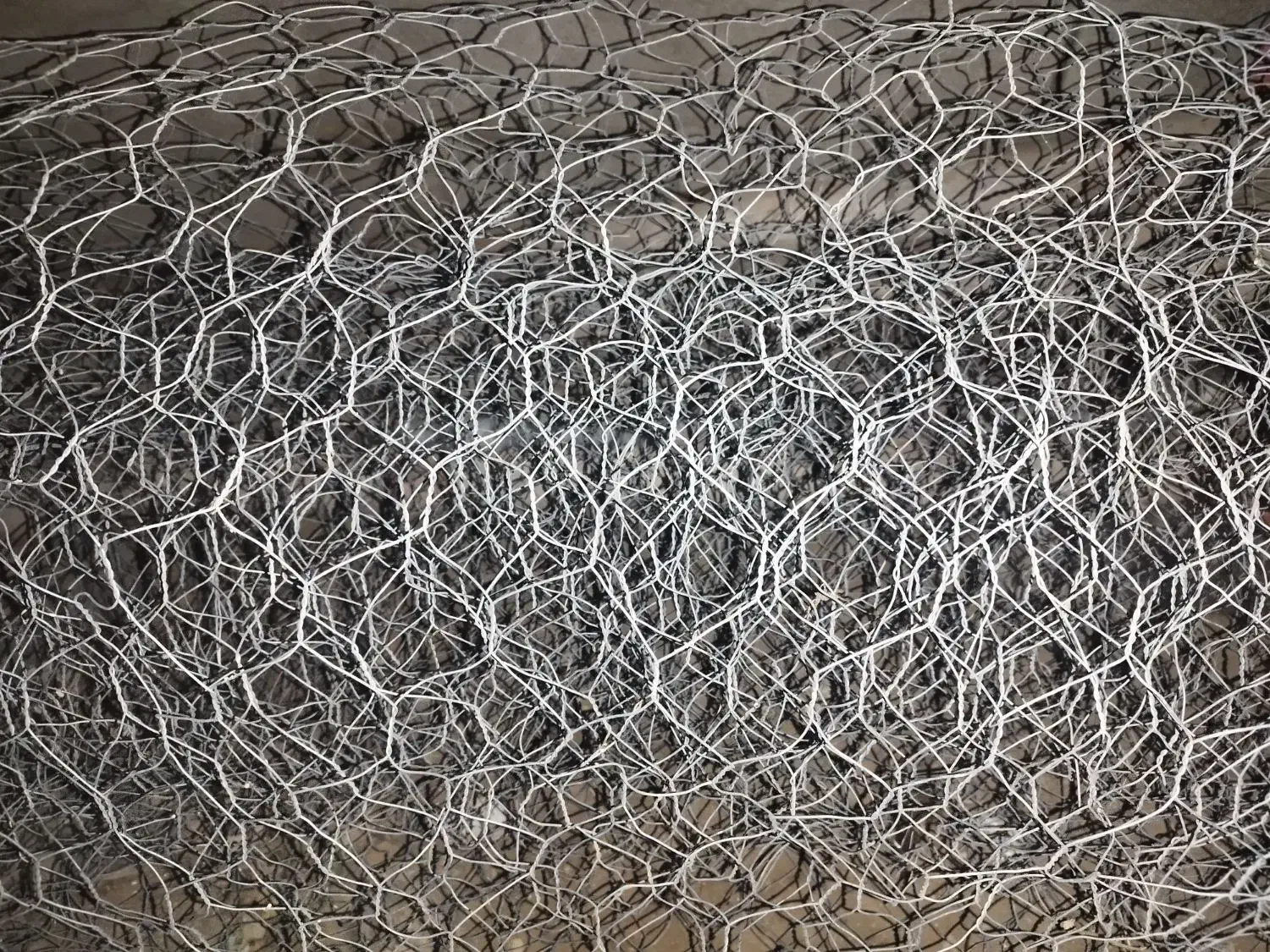 سیم توری|عمدهفروشی|سردرود, |دیوار