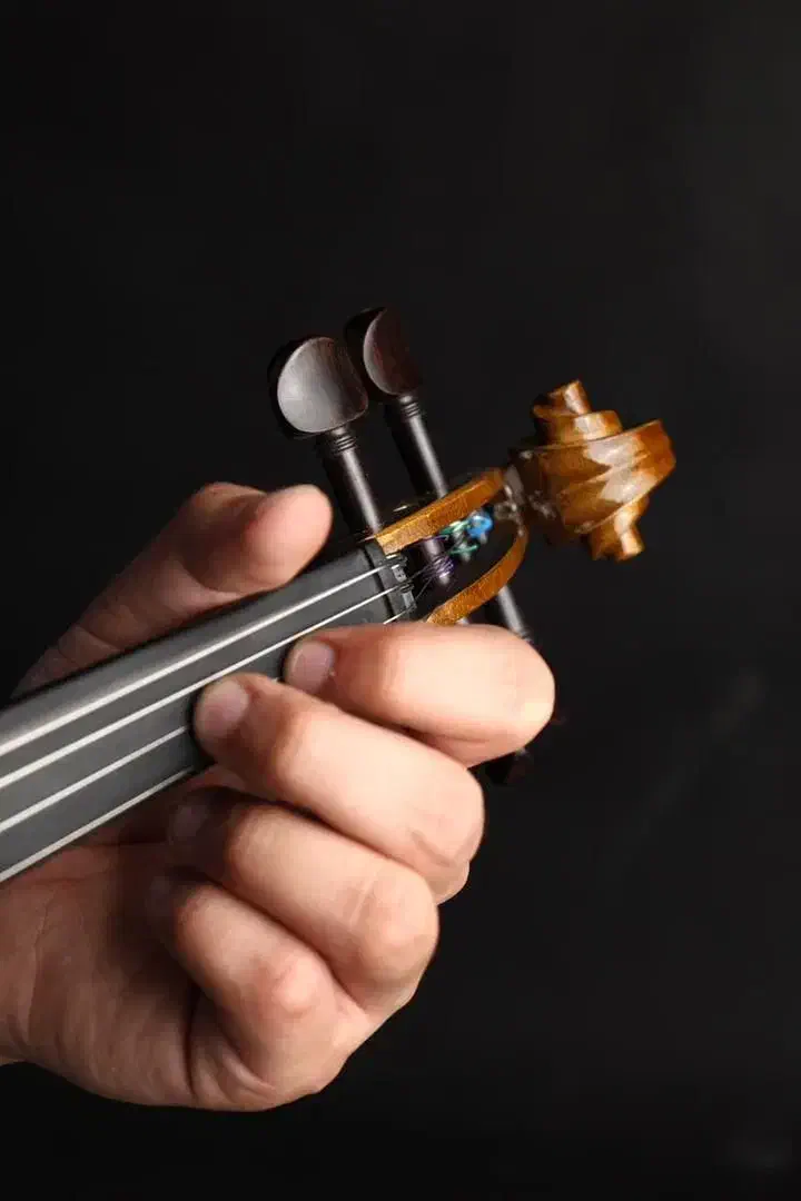 ویولن+/ » از اولین نت تا اجرای حرفهای|ویولن|مشهد, ولیعصر (شهرک غرب)|دیوار