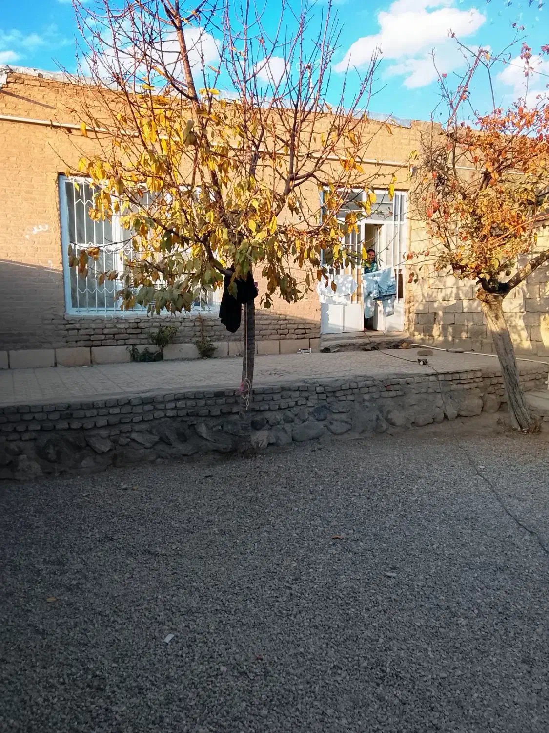 خانه اجاره ی|اجارهٔ خانه و ویلا|بافت, |دیوار