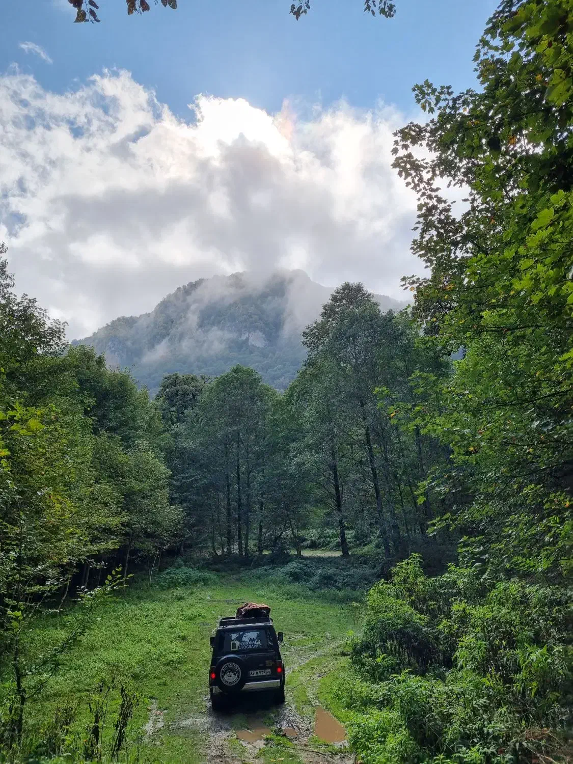 پاترول مدل ۷۶|خودرو کلاسیک|گنبد کاووس, |دیوار