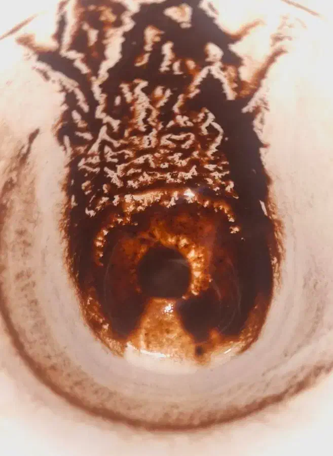 فال تکی و ترکیبی دقیق|خدمات پذیرایی، مراسم|خرم‌آباد, |دیوار