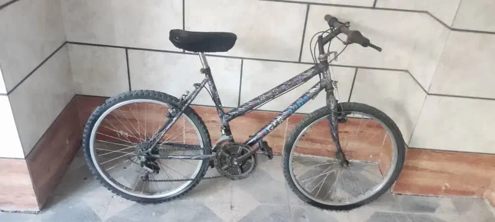 فروش دوچرخه|دوچرخه، اسکیت، اسکوتر|جهرم, |دیوار