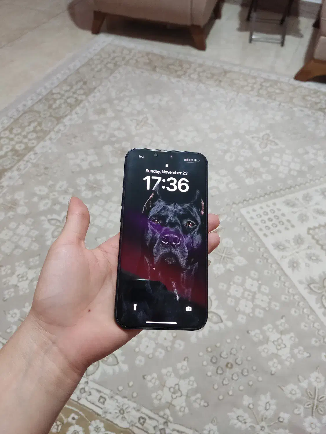 گوشی موبایل ایفون 13|موبایل|رشت, حسین آباد|دیوار