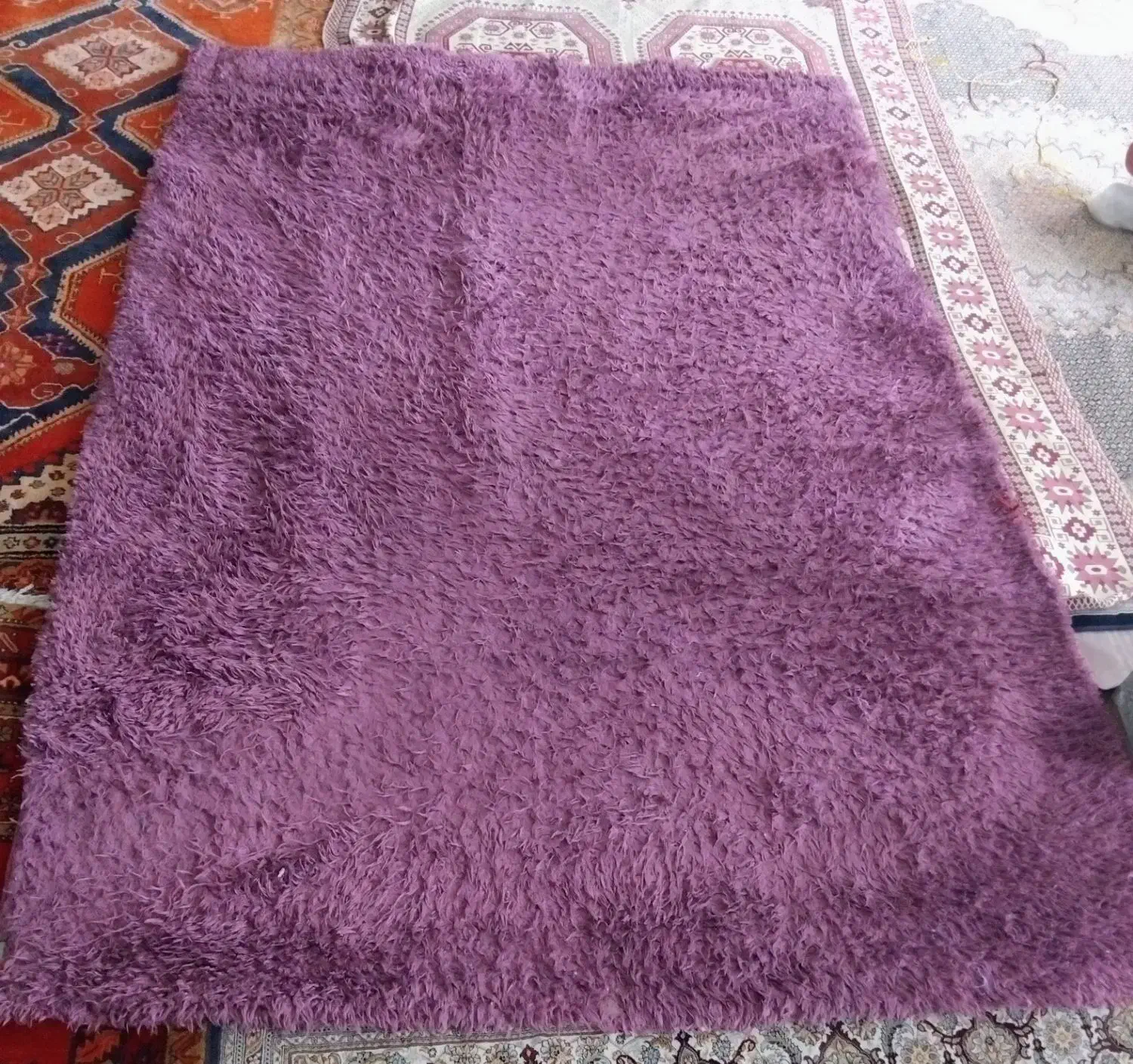 فرش و موکت|فرش|اردبیل, |دیوار