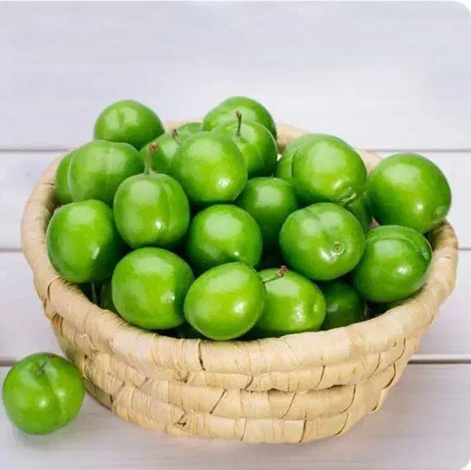 تولید نهال گوجه سبز نخجوان|خدمات باغبانی و درختکاری|قصابه, |دیوار