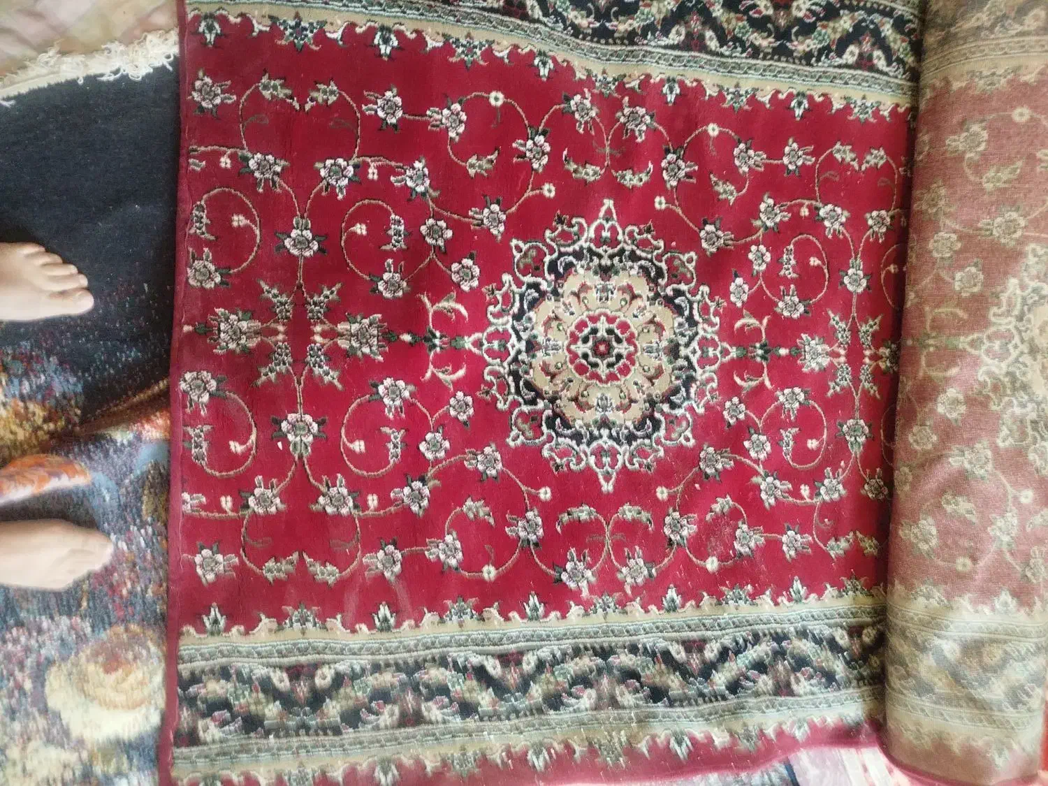 کناره قالی|فرش|کرمان, |دیوار