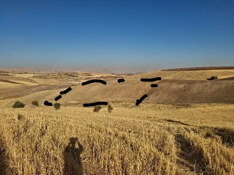 زمین کشاورزی دیم توافقی|فروش زمین و ملک کلنگی|روانسر, |دیوار