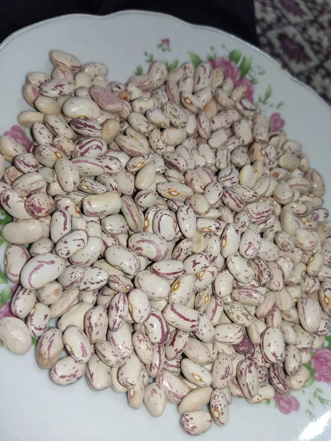 لوبیا چیتی امسال|خوردنی و آشامیدنی|شبستر, |دیوار