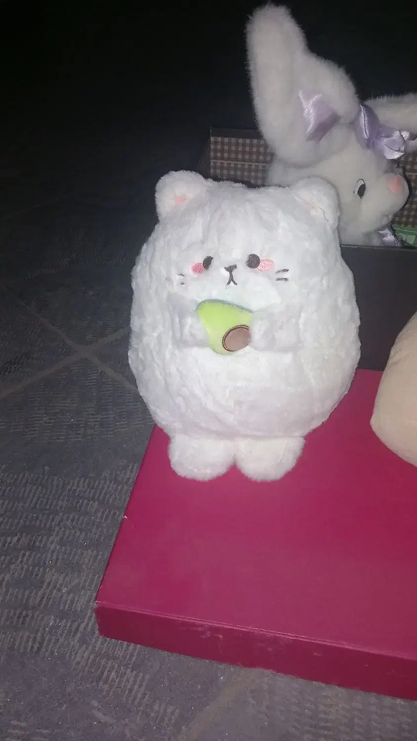 عروسک|اسباب‌بازی بچه|سنندج, |دیوار