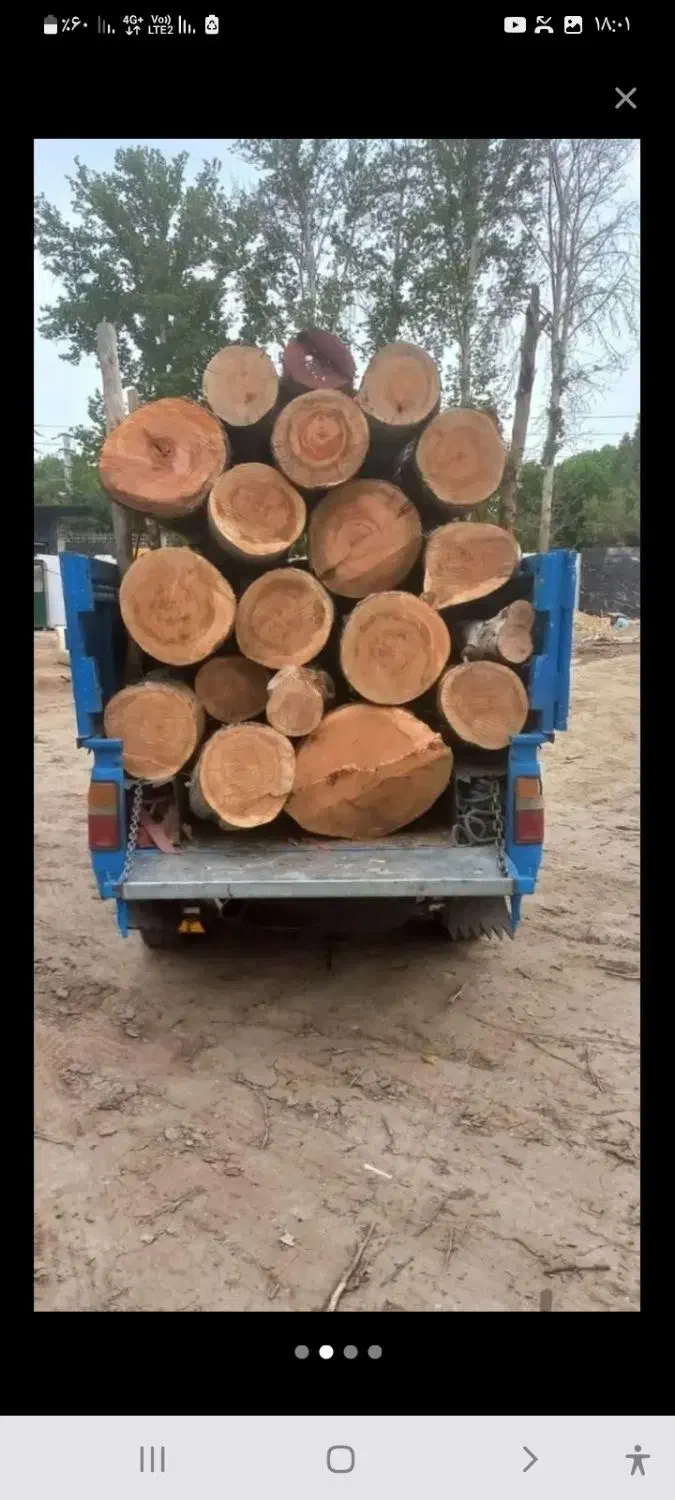 خرید چوب به قیمت خوب|خدمات باغبانی و درختکاری|صفادشت, |دیوار