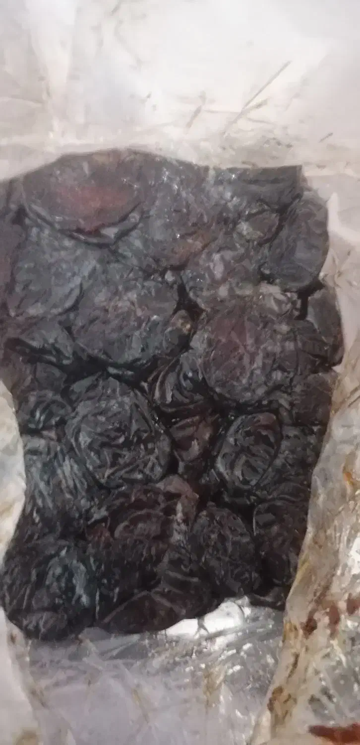 فروش خرمای کبکاب|خوردنی و آشامیدنی|مهر, |دیوار