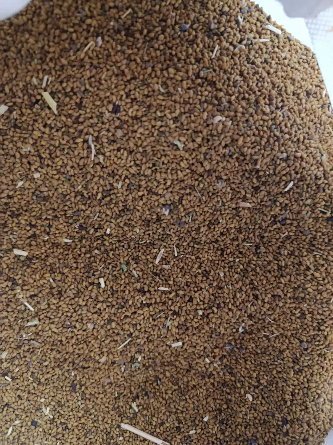 بذر|حراج|دیواندره, |دیوار