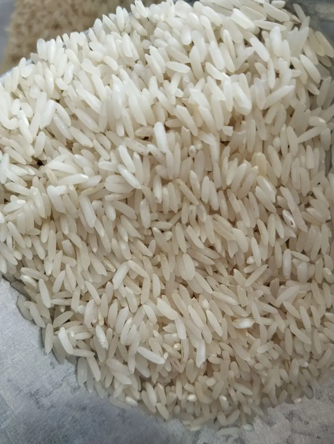 برنج طارم فجر برنج ندا برنج شیرودی برنج عنبر بو|عمدهفروشی|باغستان, |دیوار