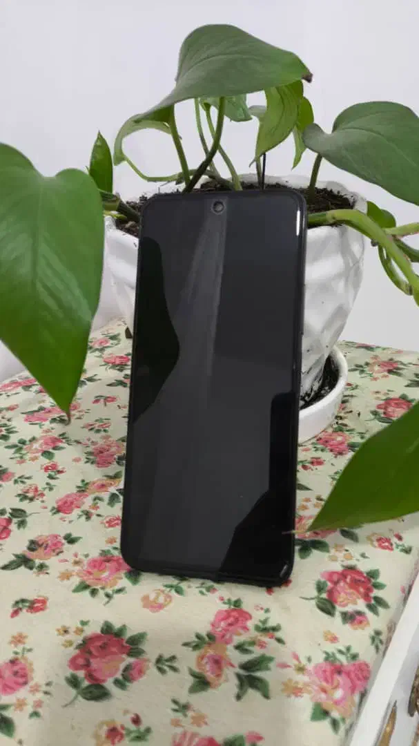 poco m6 نو نو|موبایل|بندرعباس, |دیوار