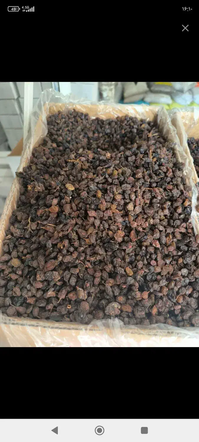 مویز|خوردنی و آشامیدنی|ری, ملک‌آباد|دیوار