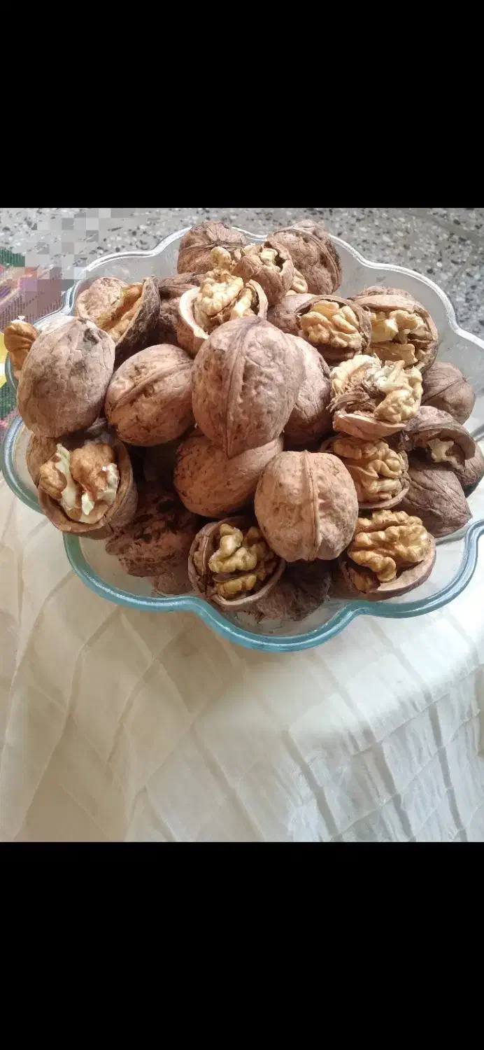 تازه ترین گردو امسال|حراج|لاهیجان, کوی خزر|دیوار