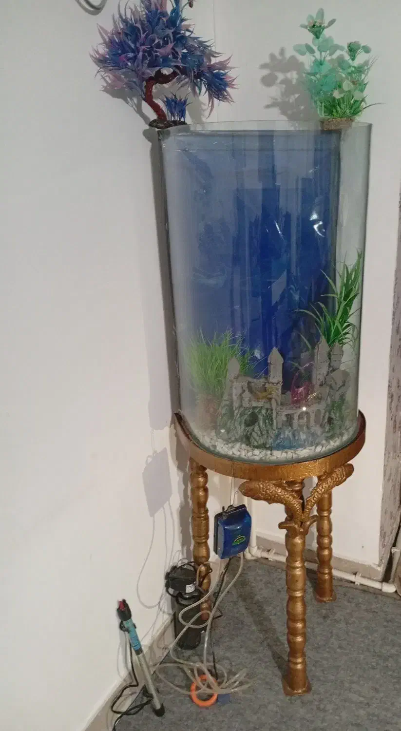 فروش آکواریوم با تمامی وسایل|ماهی|بروجرد, |دیوار