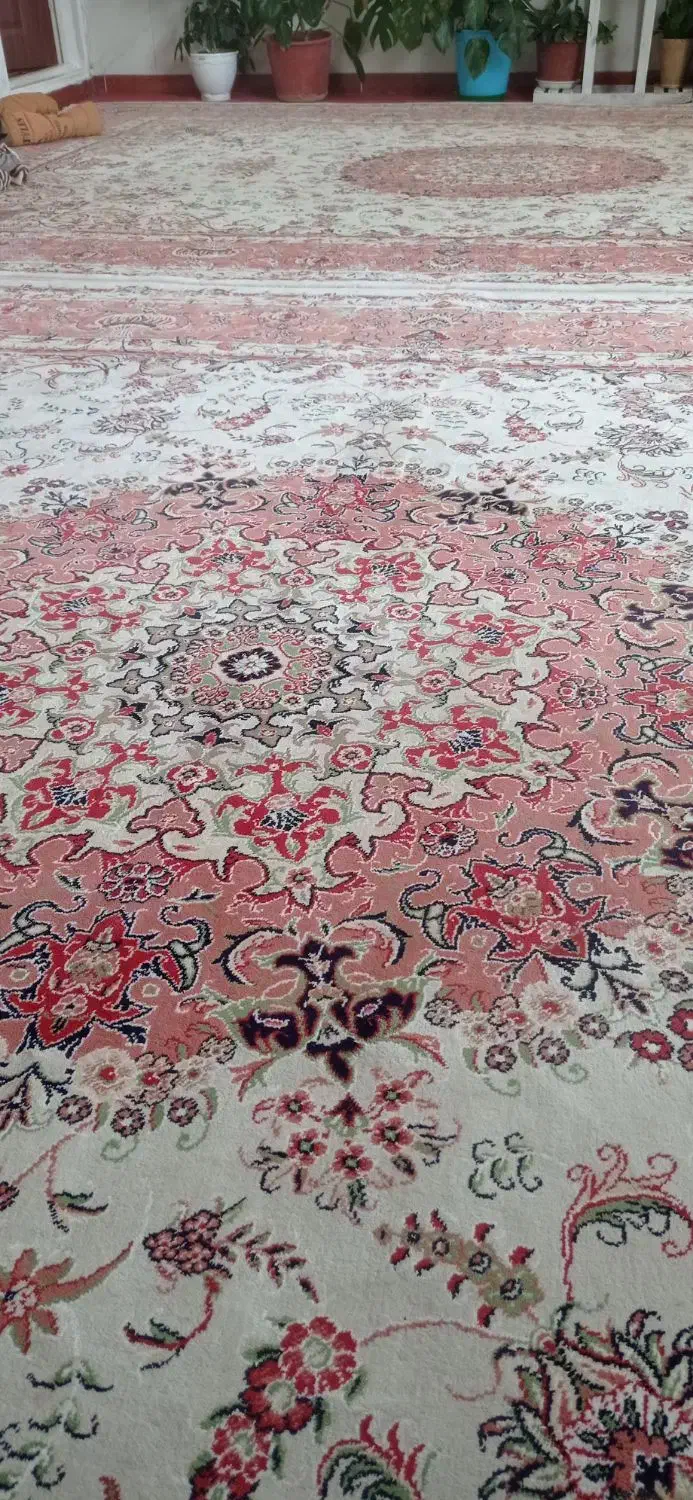 فروش فرش|فرش|کوهسرخ, |دیوار