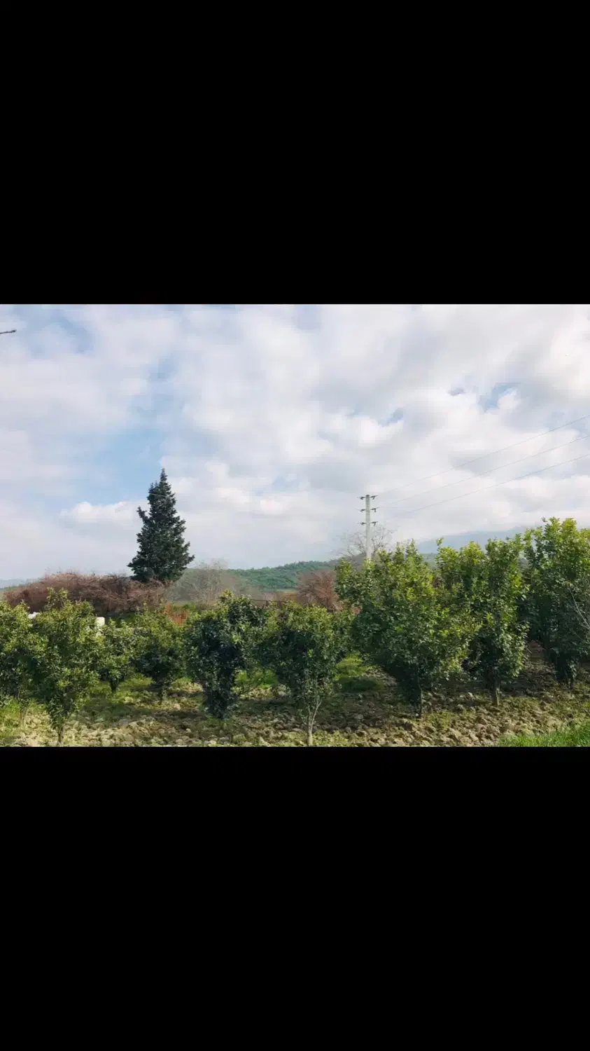 خونه باغ نیمه اماده به متراژ ۸۰۰متر|فروش خانه و ویلا|گلوگاه, |دیوار