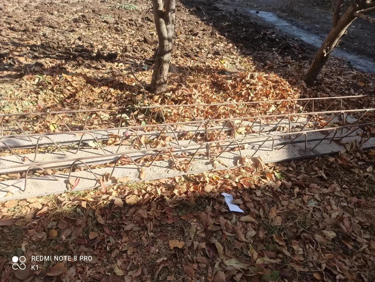 تیرچه بتونی|مصالح و تجهیزات ساختمان|الشتر, |دیوار