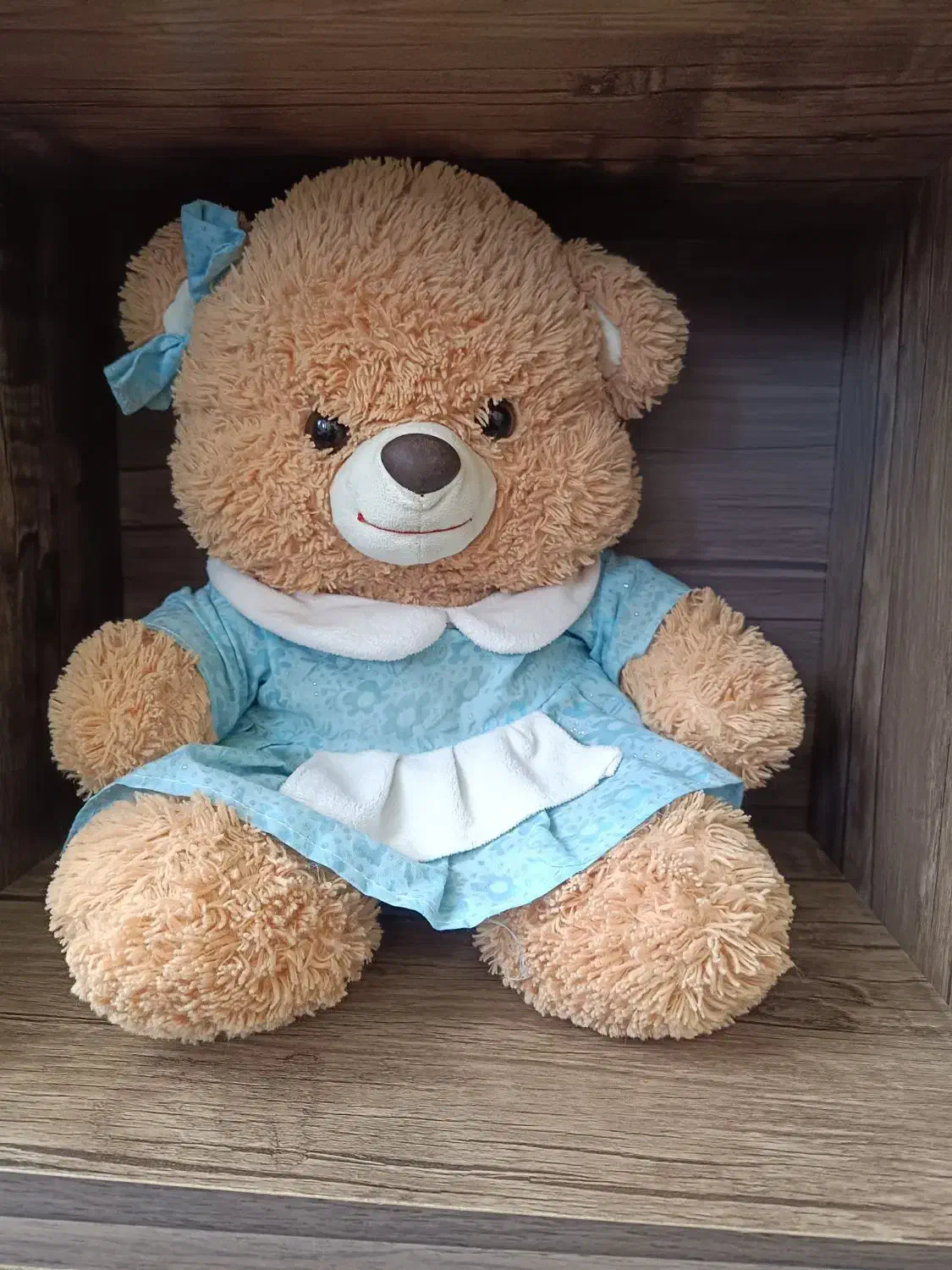 عروسک بزرگ|اسباببازی بچه|شهریار, شهریار|دیوار