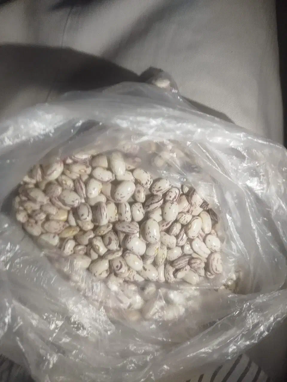 لوبیا چیتی|عمدهفروشی|صومای برادوست, |دیوار