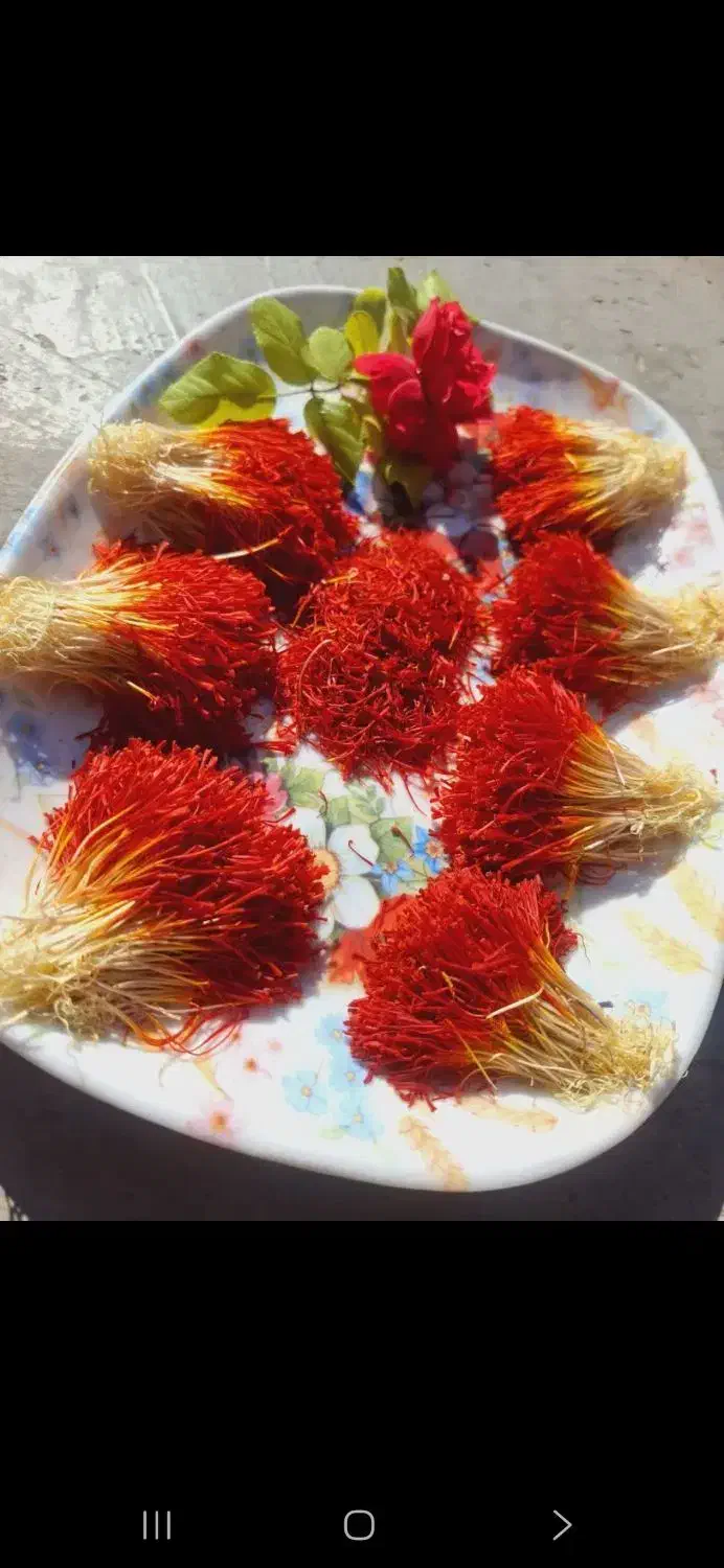 زعفران دسته دختر پیچ|خوردنی و آشامیدنی|قم, صادقی|دیوار