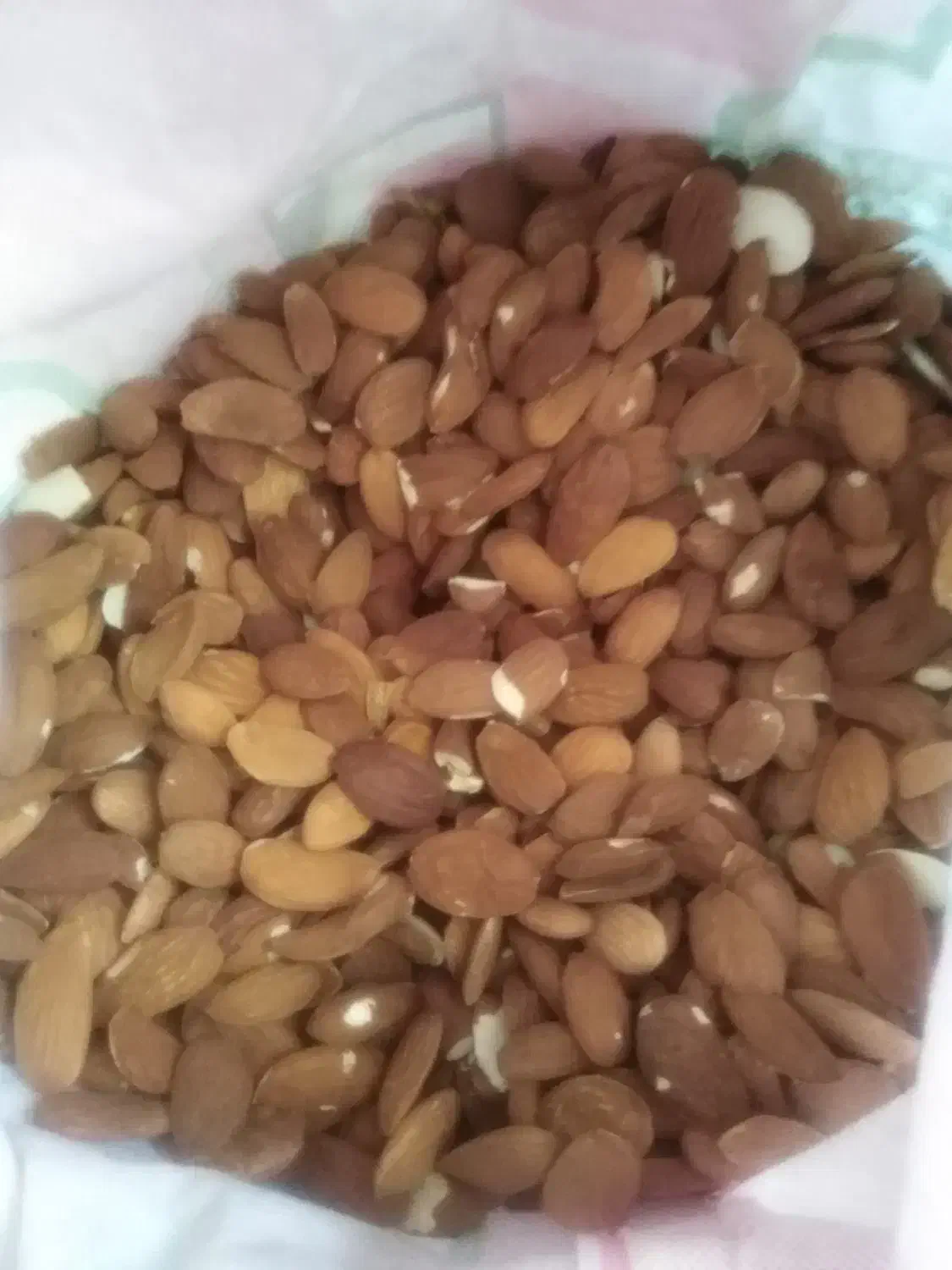 مغز بادوم شیرین ارگانیک|خوردنی و آشامیدنی|شیراز, شهرک مدرس|دیوار