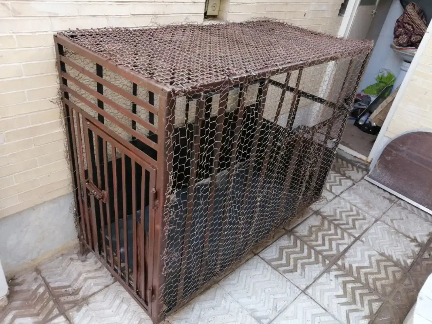 قفس|لوازم جانبی حیوانات|حمیدیا, |دیوار