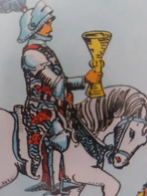 فال تاروت ۹۹ت|خدمات پذیرایی، مراسم|تهران, فلسطین (میدان انقلاب)|دیوار