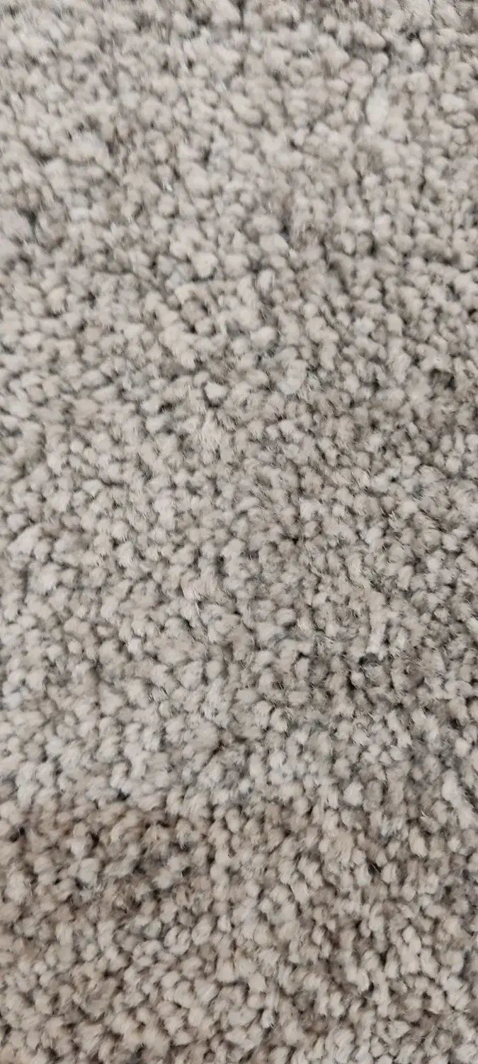 موکت پالاز  نو پرز بلند پشمی    همه باهم ۳۰۰تومن|موکت|اهواز, کوروش|دیوار