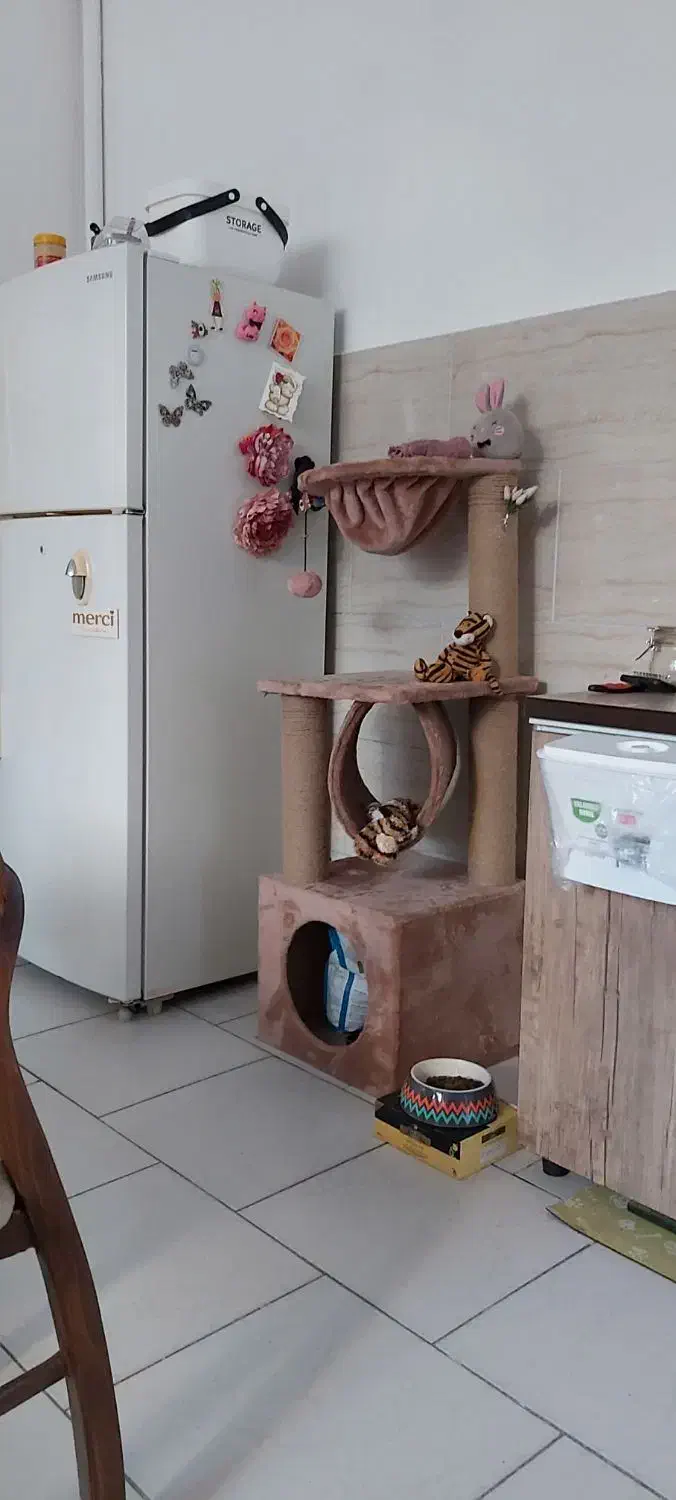 درخت بازی گربه- ۱۱۶×۴۰ (ارتفاع و پهنا)|لوازم جانبی حیوانات|تهران, قیطریه|دیوار