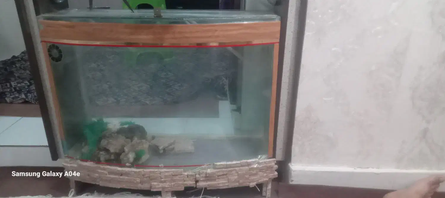 آکواریوم معاوضه با قناری|ماهی|زنجان, |دیوار