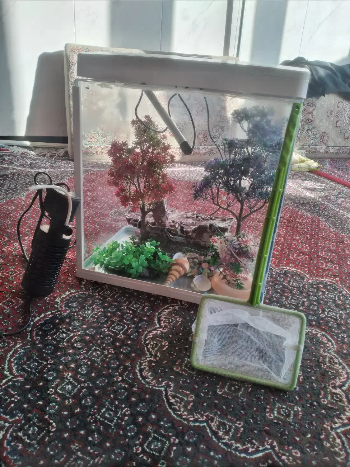 آکواریوم با دستگاه اکسیژنساز|ماهی|پاوه, |دیوار