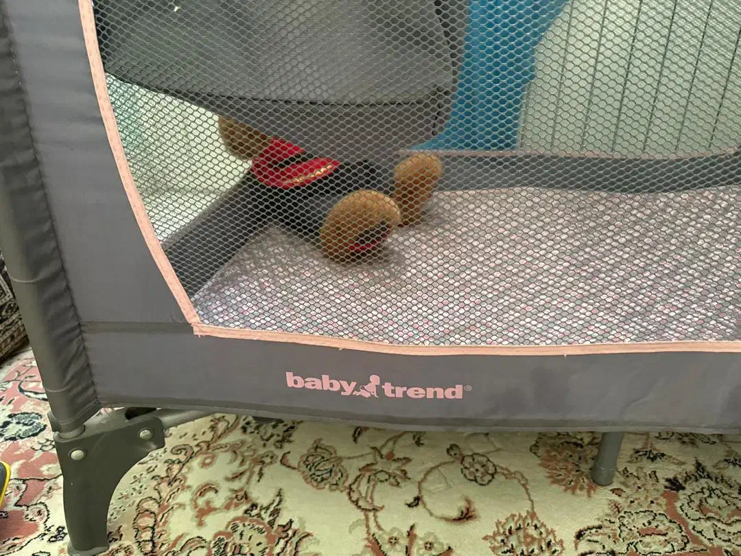 تخت بچه|تخت و صندلی بچه|رودهن, |دیوار