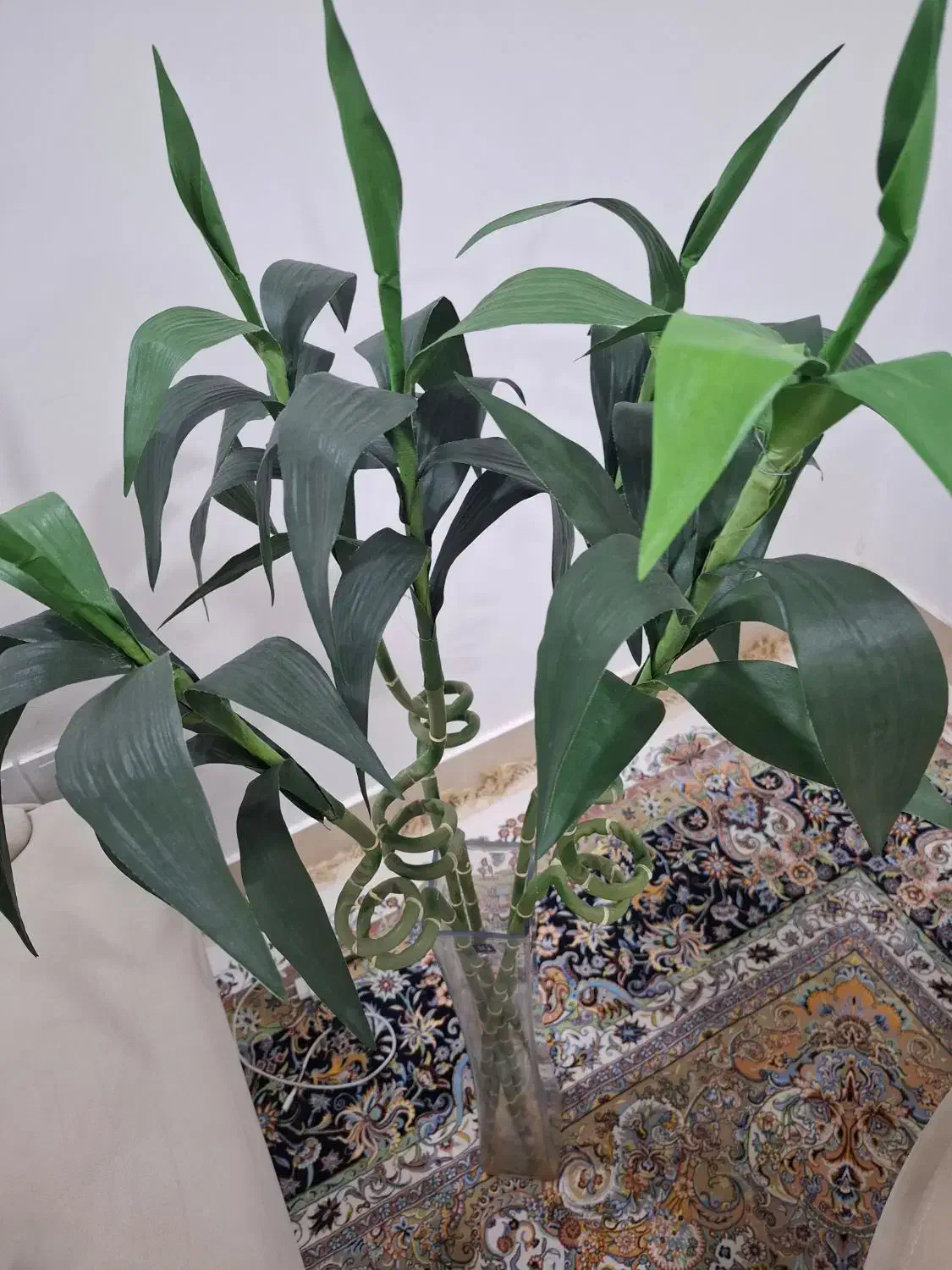 گل بامبو 5شاخه جنس خارجی|گل و گیاه طبیعی|قائن, |دیوار