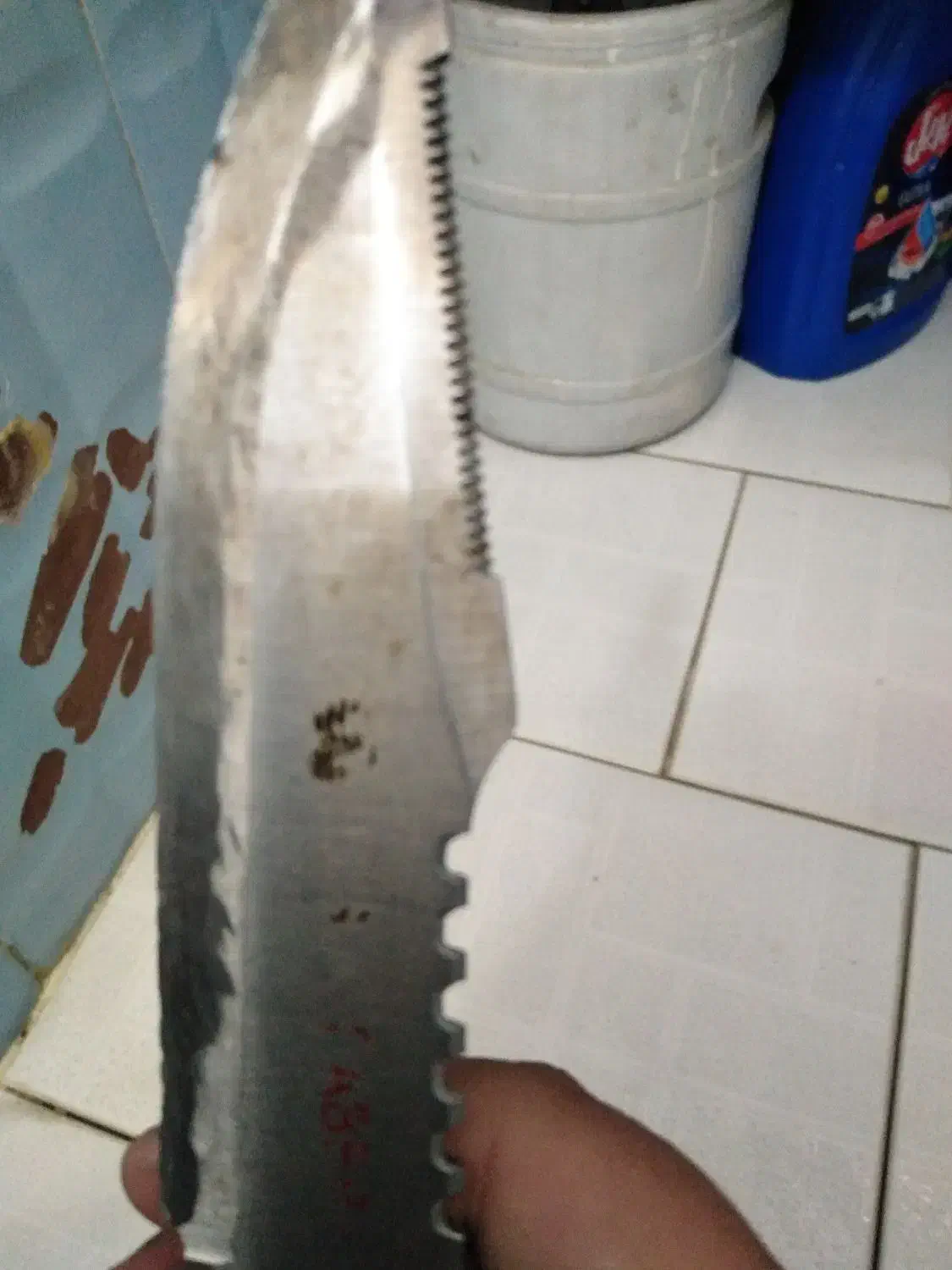 چاقو مفت|کوهنوردی و کمپینگ|مشهد, تلگرد|دیوار