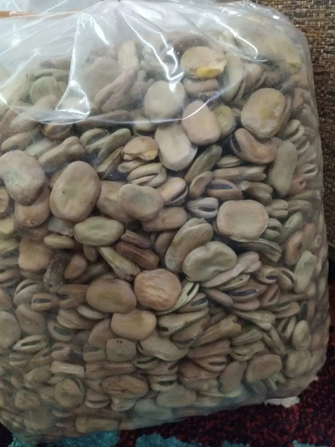 باقالامازندرانی|خوردنی و آشامیدنی|رشت, حمیدیان|دیوار