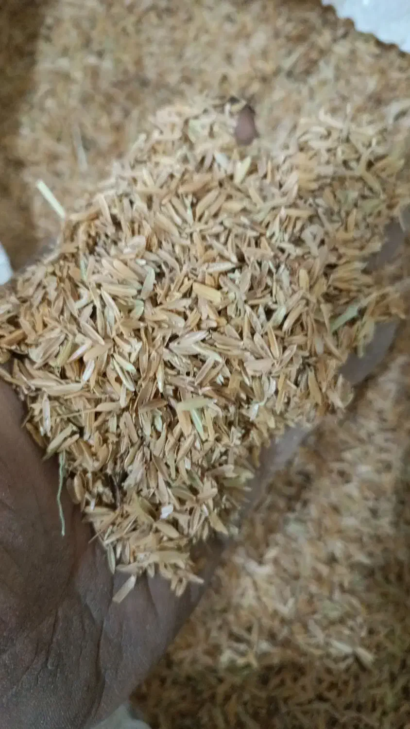 پوسته چلتوک پوست برنج|خوردنی و آشامیدنی|لنجان, |دیوار