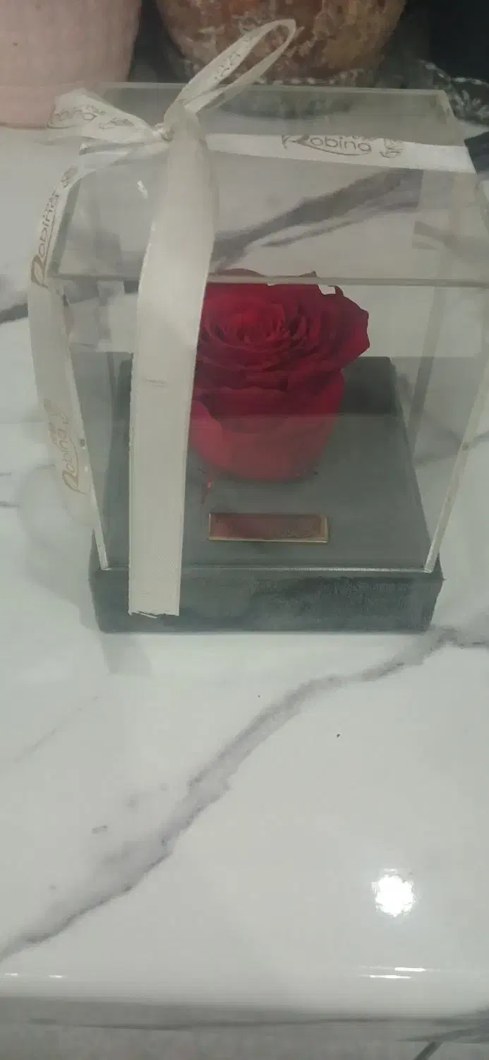 رز جاودان|گل و گیاه طبیعی|تهران, بیسیم|دیوار