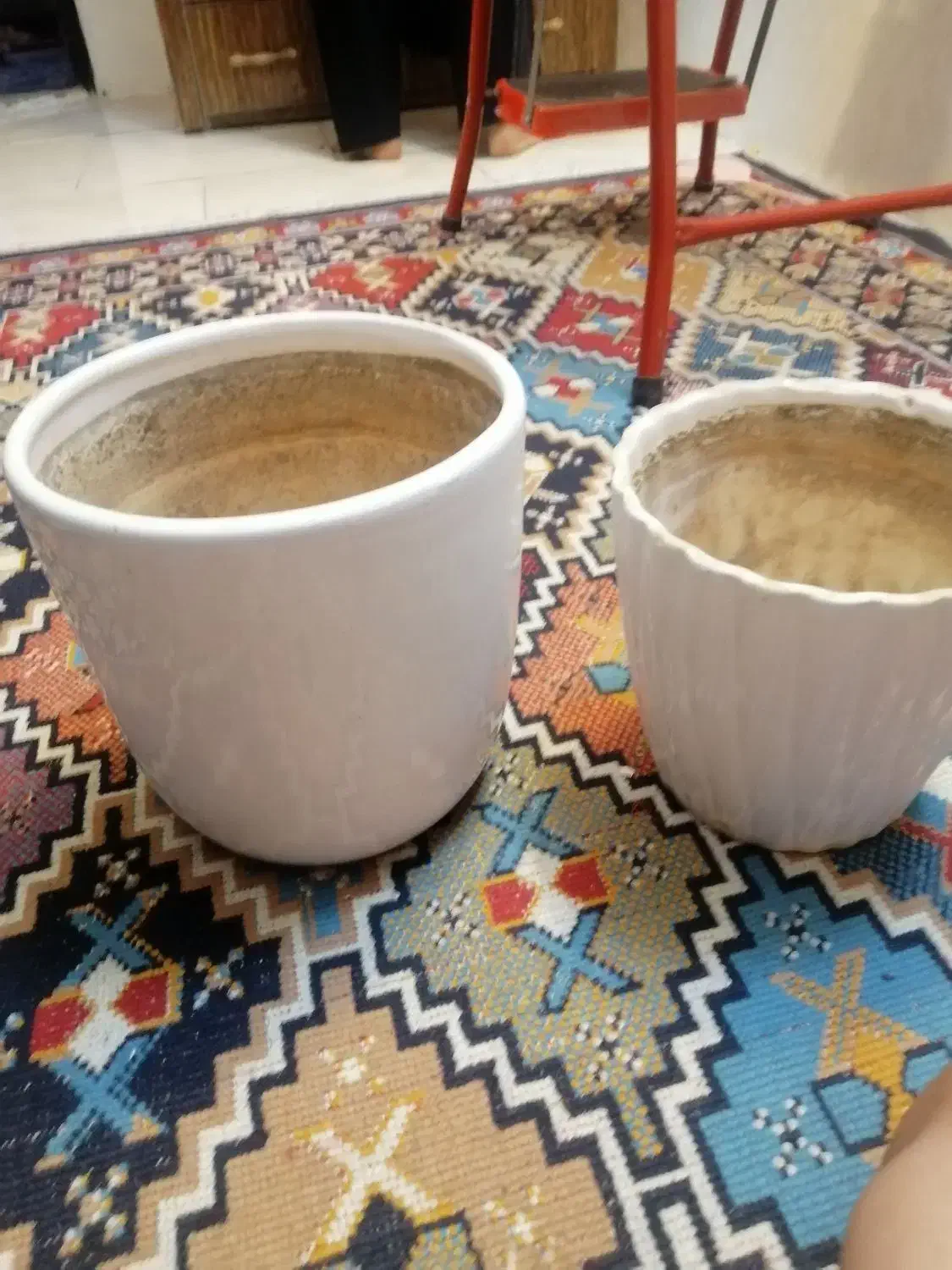 گلدون|گل و گیاه طبیعی|مشهد, نوید|دیوار