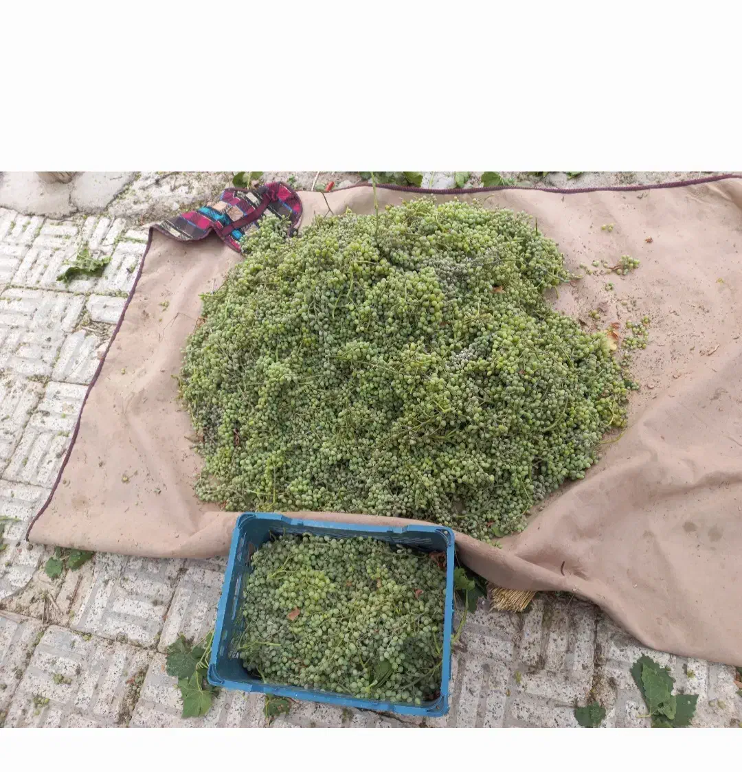 منزل ویلایی|فروش خانه و ویلا|بوئین و میاندشت, |دیوار