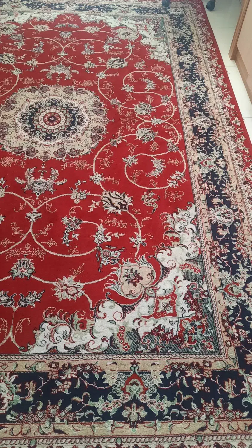 فرش ۶متره|فرش|سمنان, |دیوار