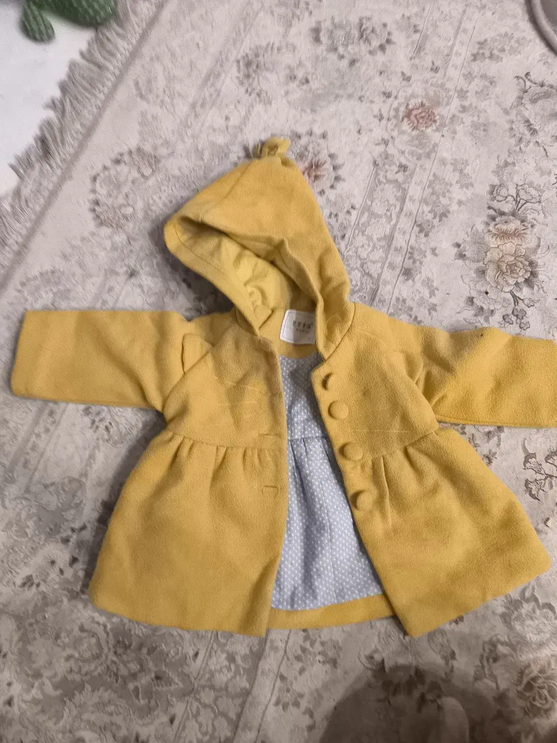 پالتو خارجی|لباس|کازرون, |دیوار