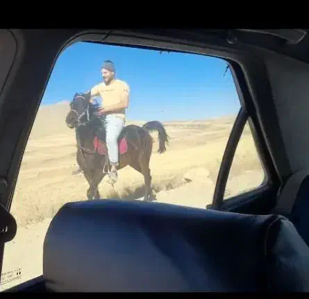 اسب کرد|اسب و تجهیزات اسب‌سواری|ایجرود, |دیوار