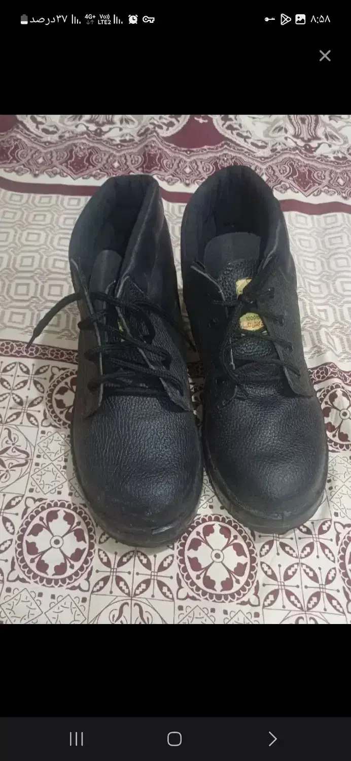 کفش ایمنی نو|کیف، کفش، کمربند|شادگان, |دیوار