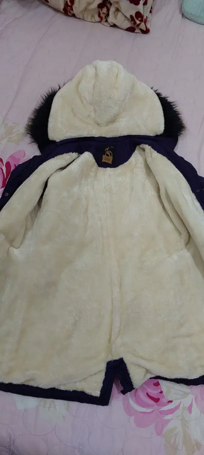 پالتو|لباس|شاهینشهر, خبرنگار|دیوار